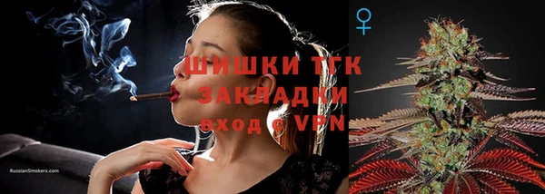 тгк Михайлов
