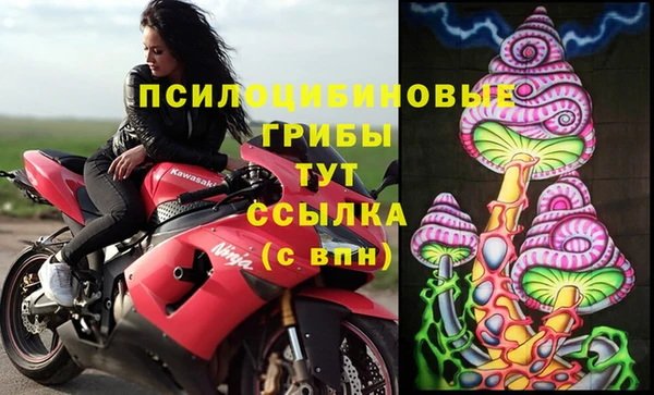 амф Михайловка