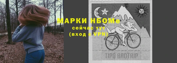 тгк Михайлов