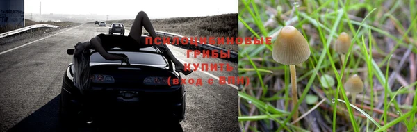 тгк Михайлов