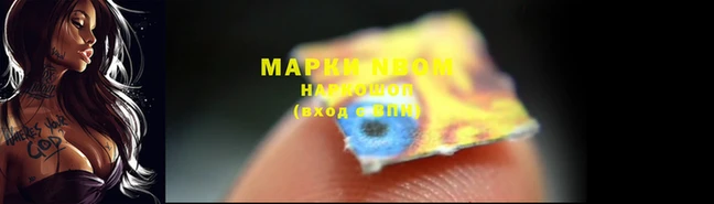 стаф Михайловск