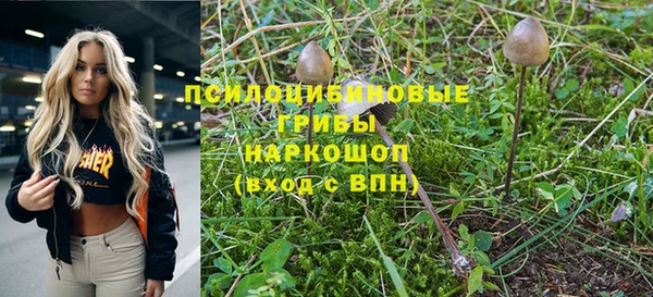 амф Михайловка