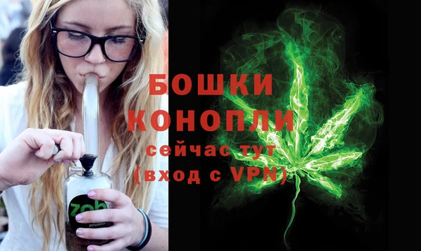 стаф Михайловск