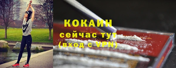 стаф Михайловск