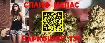 прущие грибы Абинск