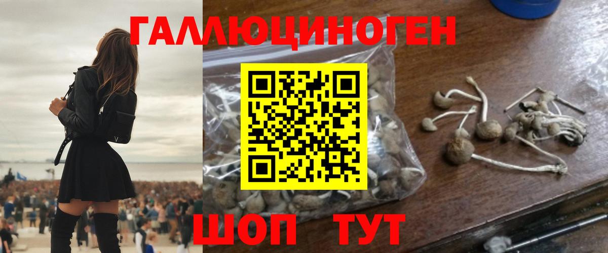 наркошоп  Галлюциногенные грибы Psilocybine cubensis  Псилоцибиновые грибы мицелий  Вход с VPN  Ангарск 